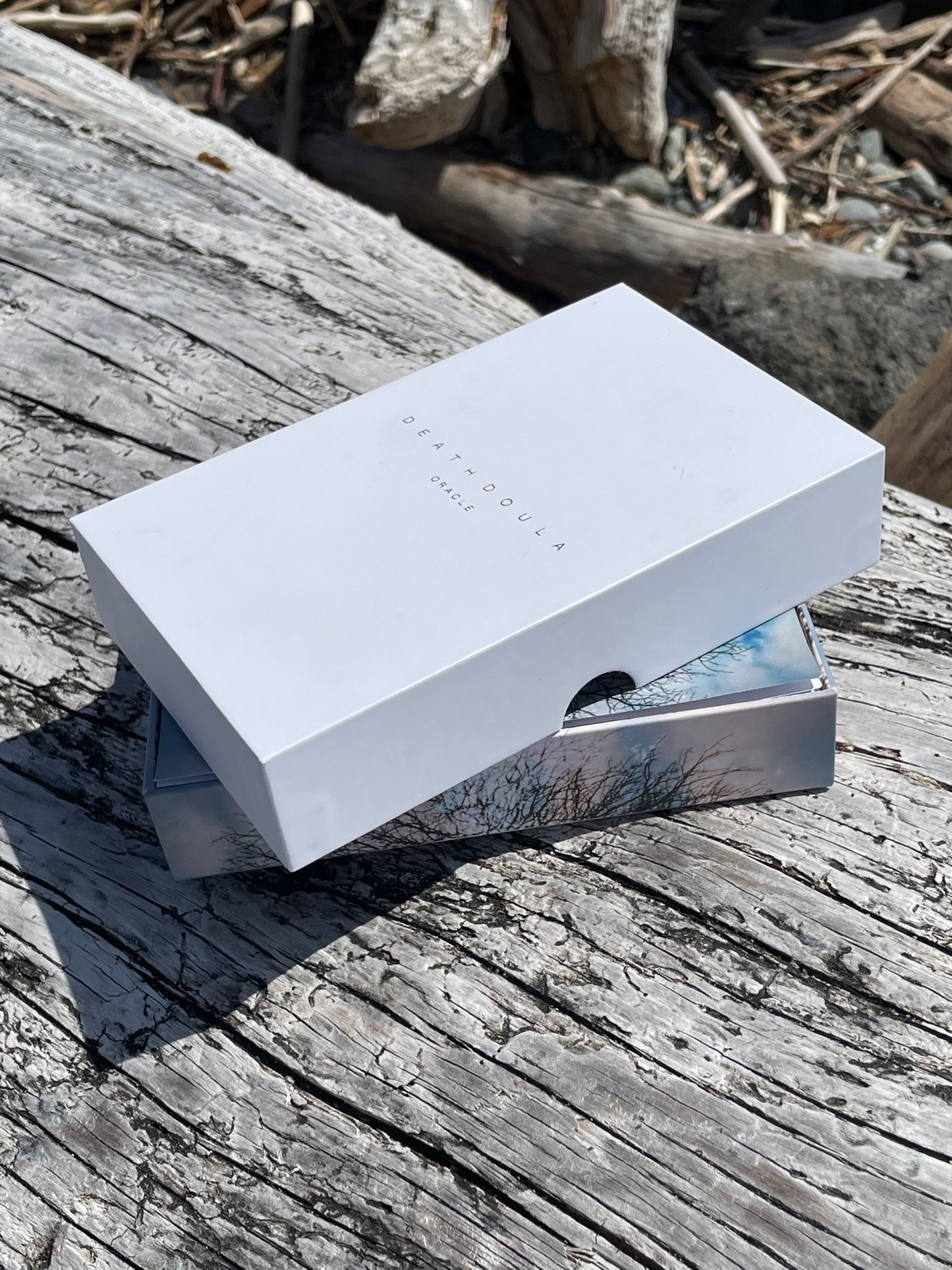 Death Doula Oracle Deck - Astrology