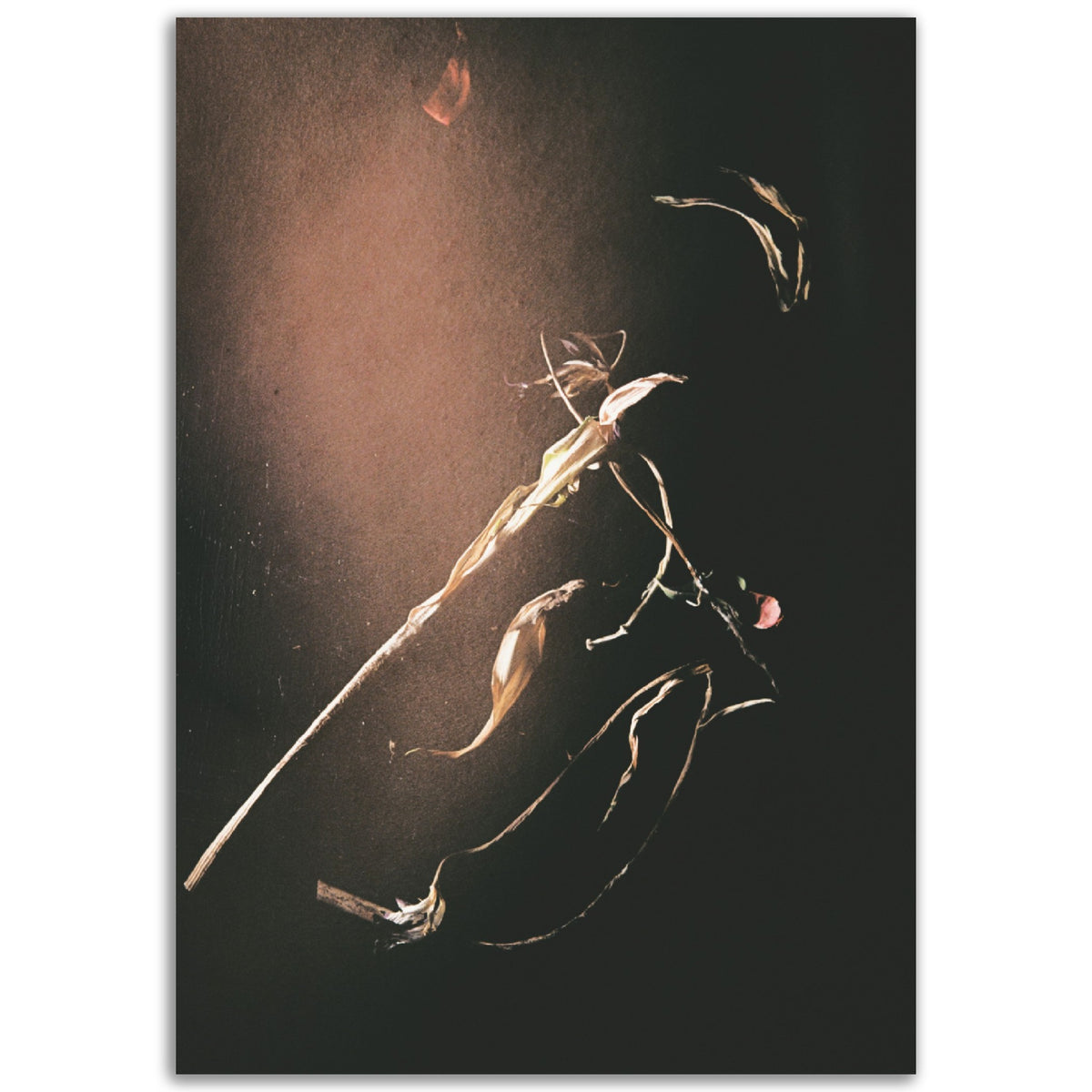 Beauty In Death | Museum-Quality Matte Paper