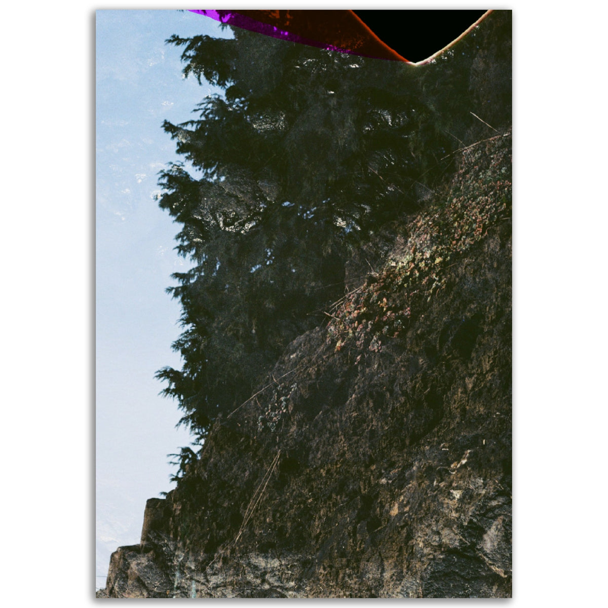 Disruption | Museum-Quality Matte Paper