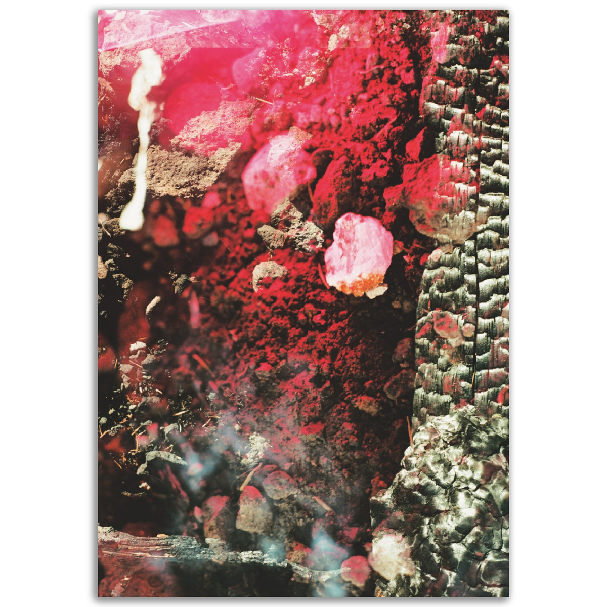 Obsession | Museum-Quality Matte Paper