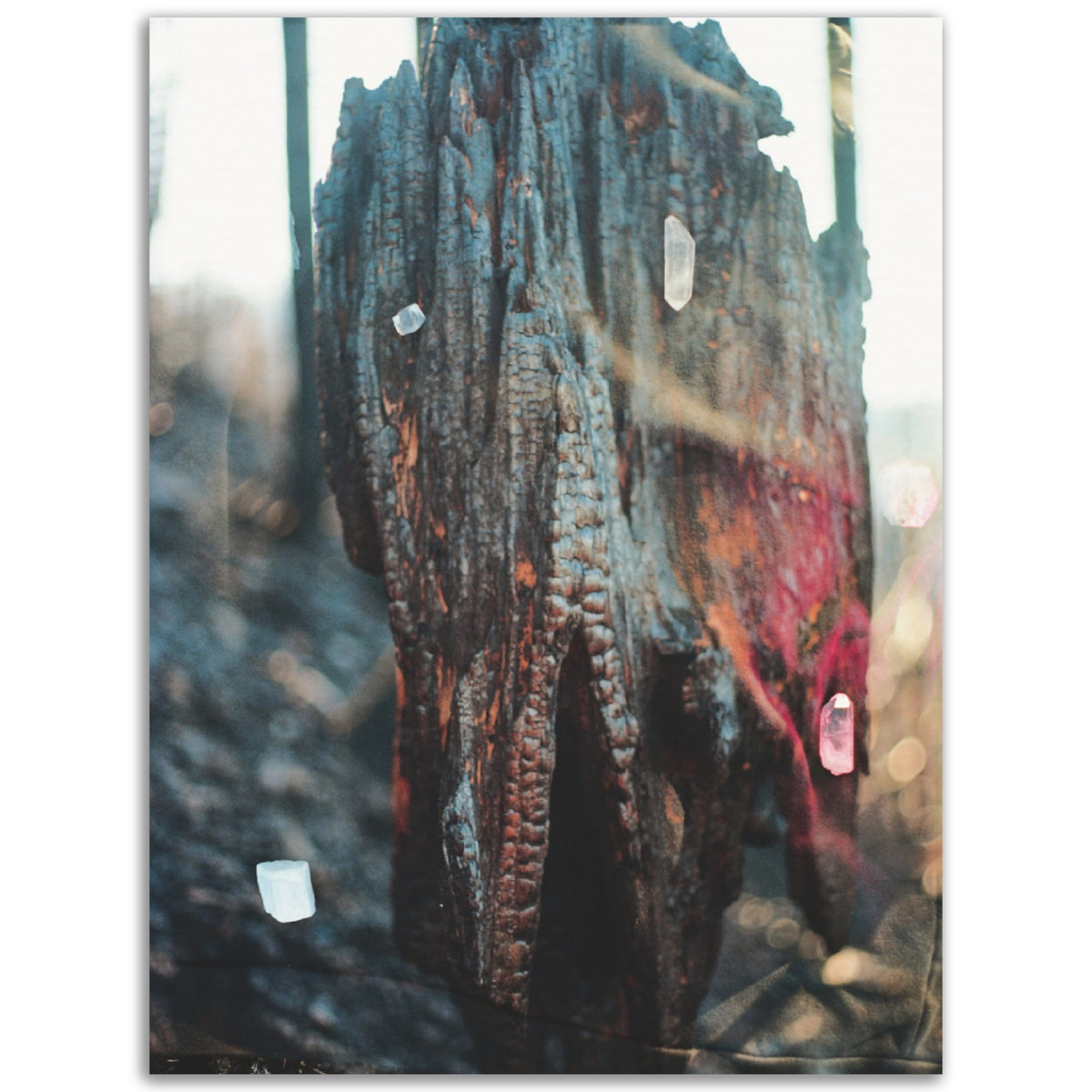 Truth | Museum-Quality Matte Paper
