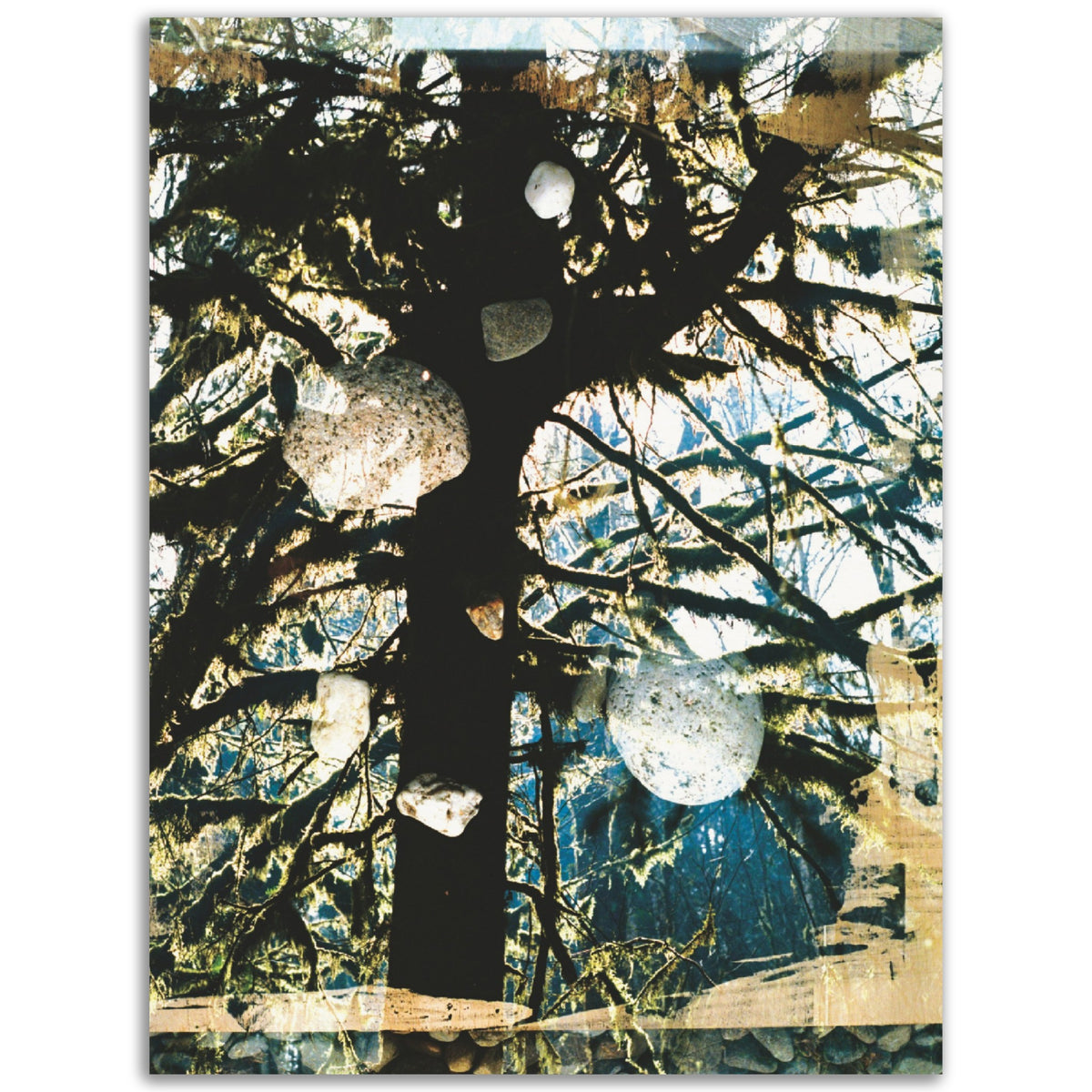 Exaltation | Museum-Quality Matte Paper