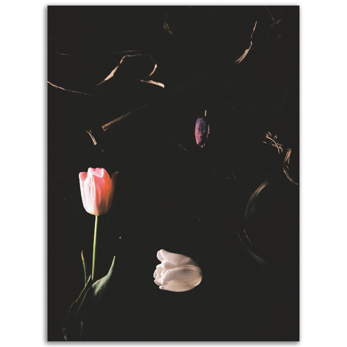The Void | Museum-Quality Matte Paper