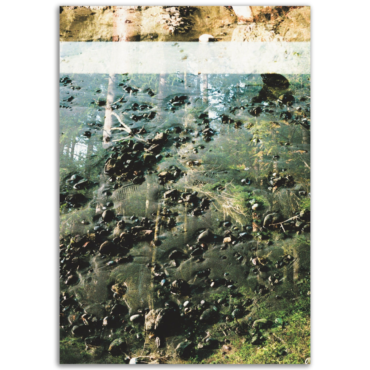 Malleable | Museum-Quality Matte Paper