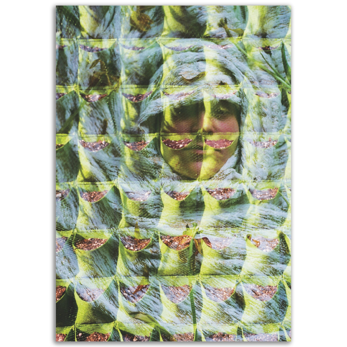 Growth | Museum-Quality Matte Paper
