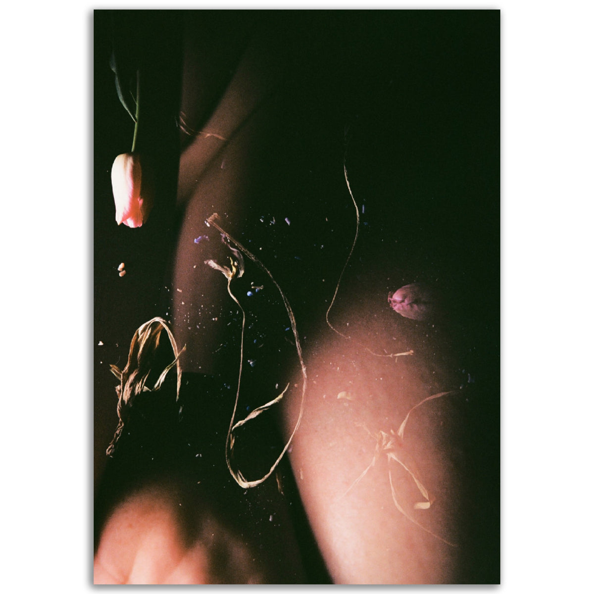 Embodiemnt | Museum-Quality Matte Paper