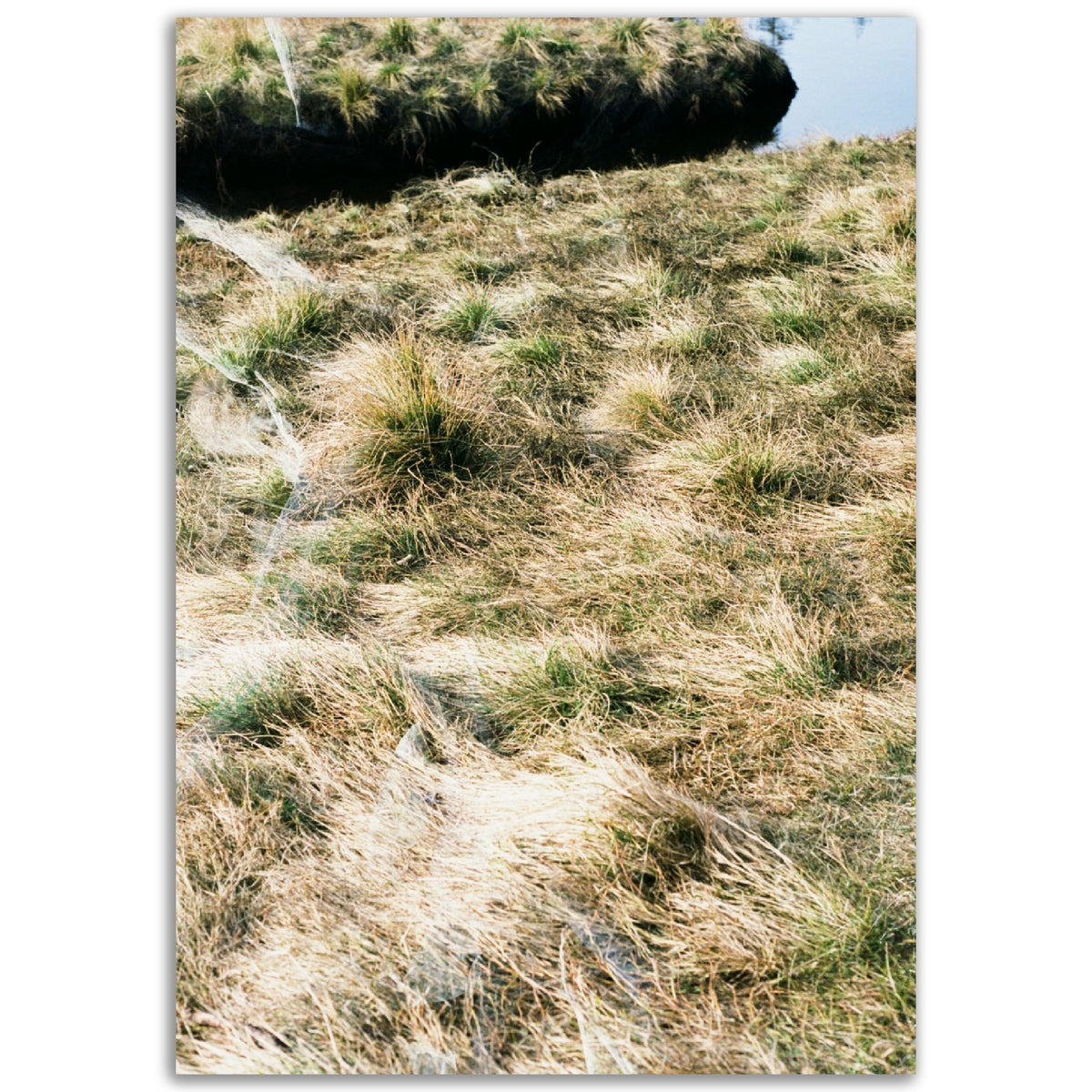 Drift | Museum-Quality Matte Paper
