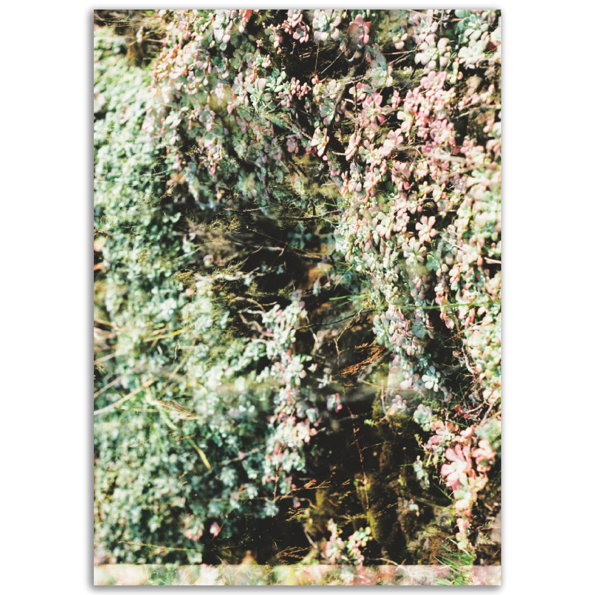 The Grove | Museum-Quality Matte Paper