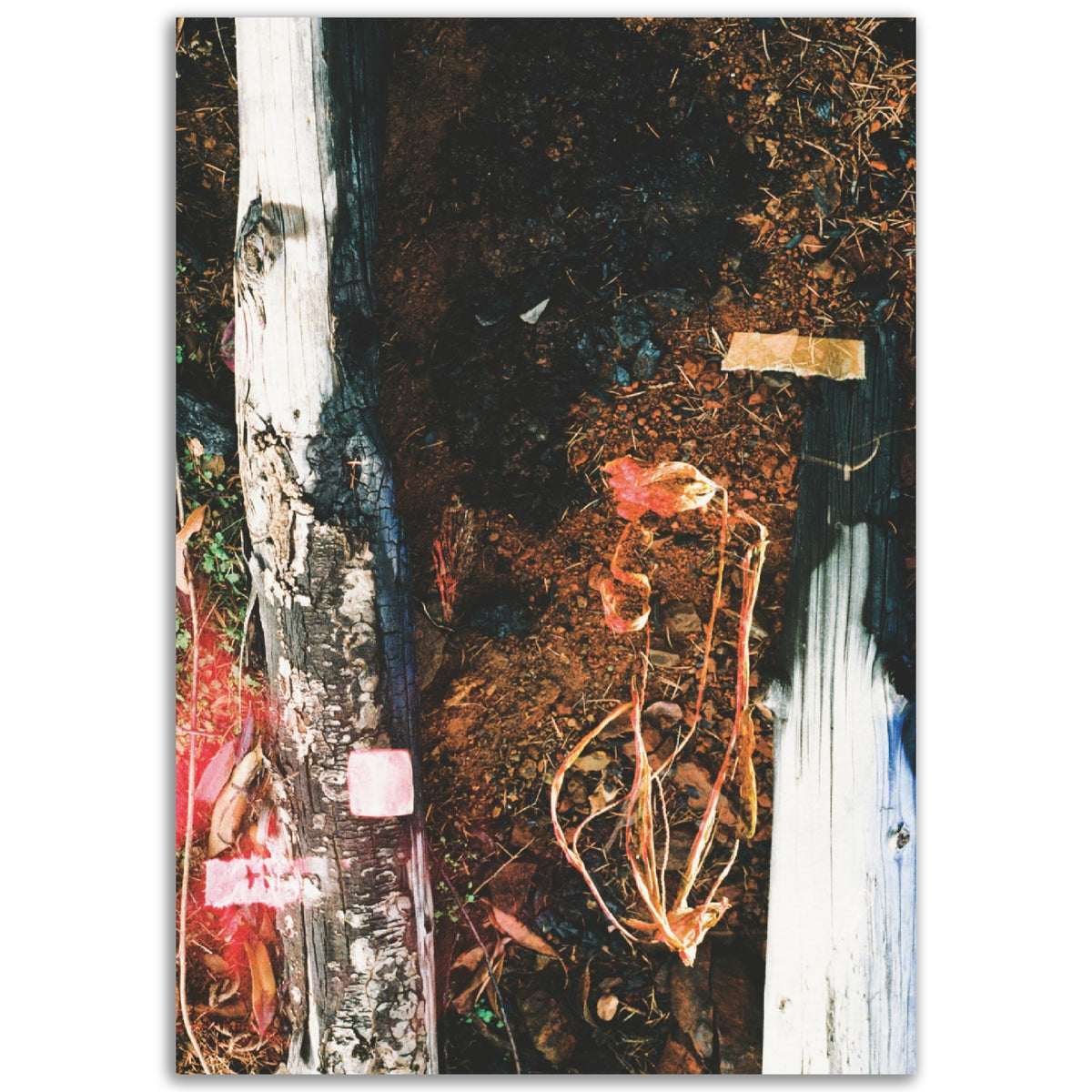 From The Ashes | Museum-Quality Matte Paper