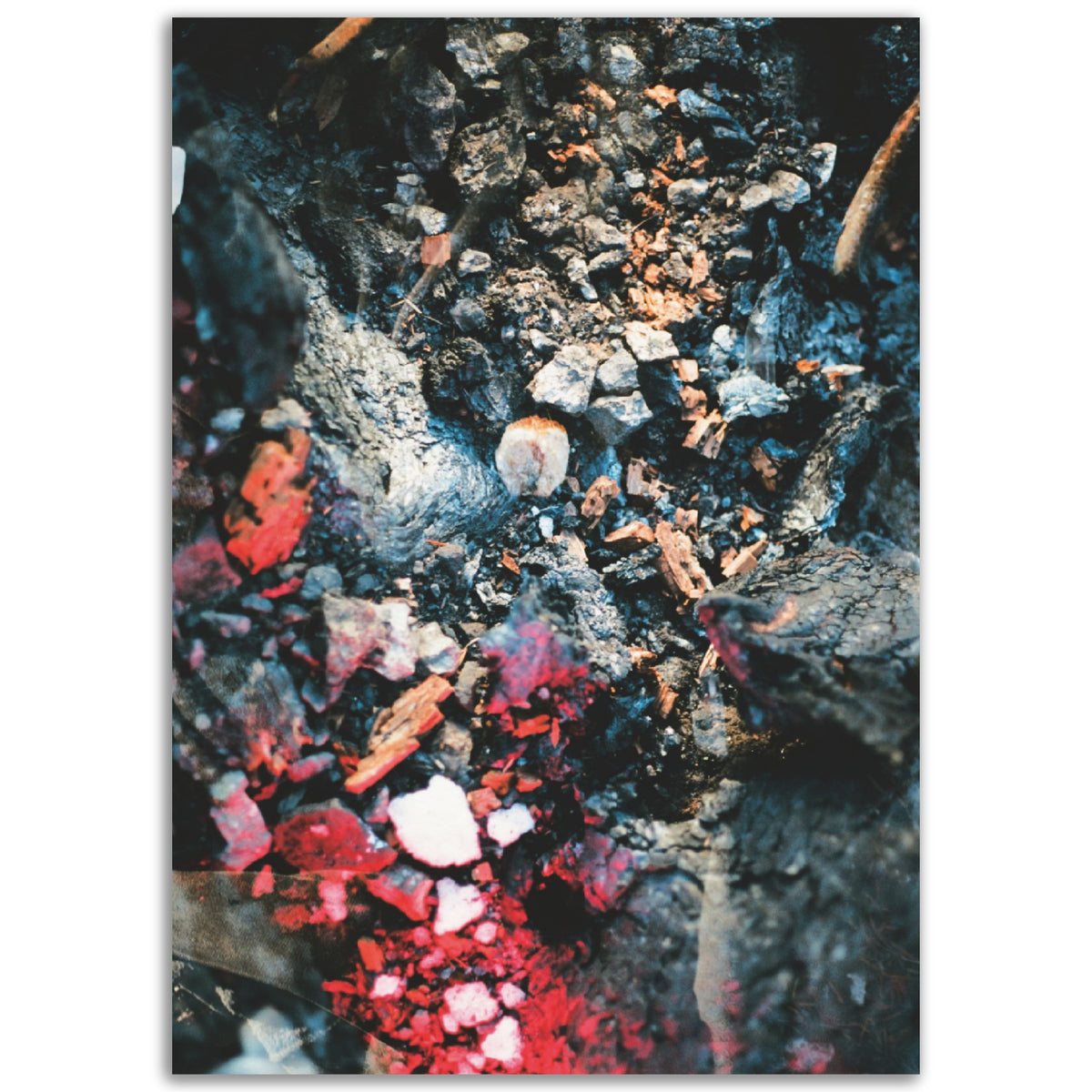 Unprocessed | Museum-Quality Matte Paper