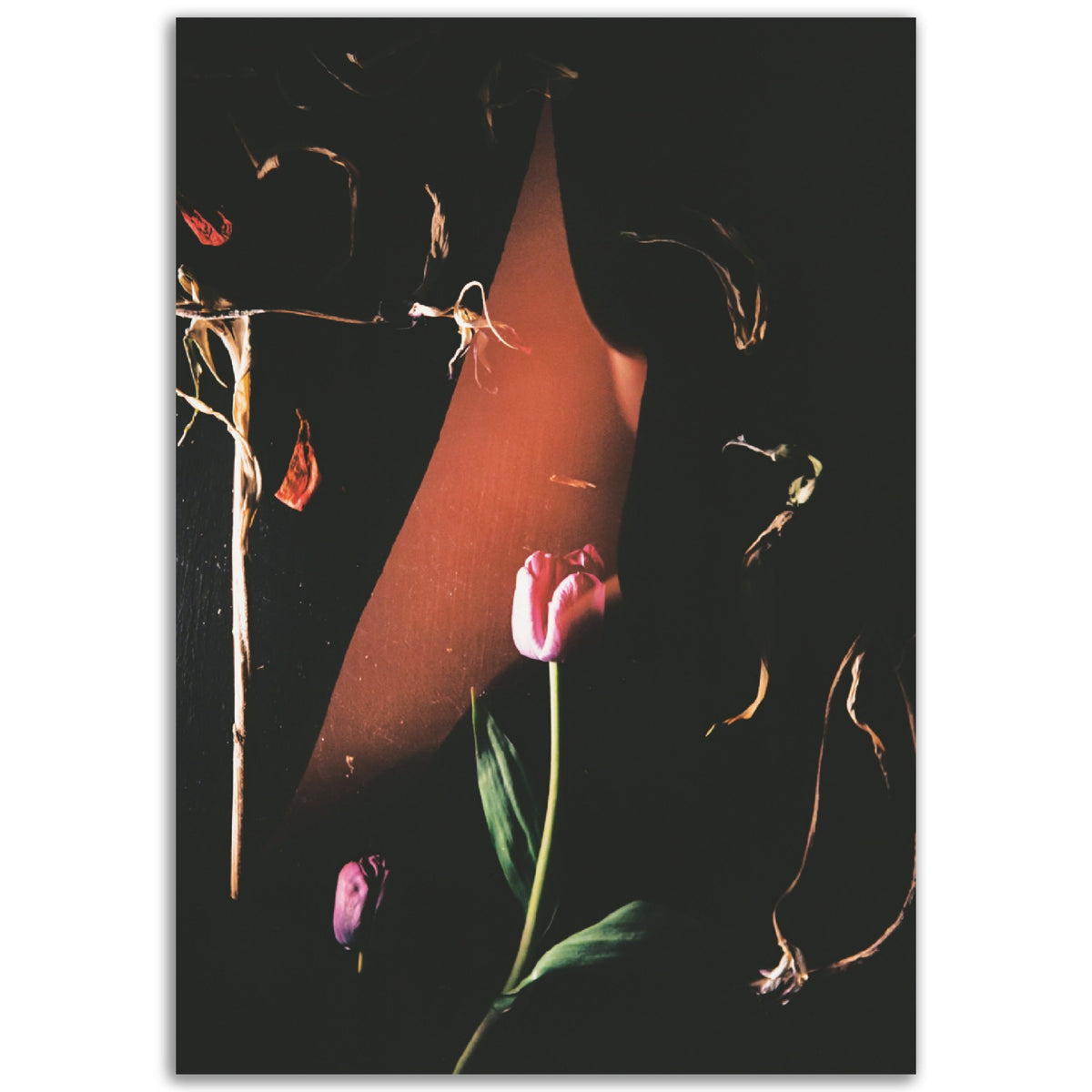 Remothering | Museum-Quality Matte Paper