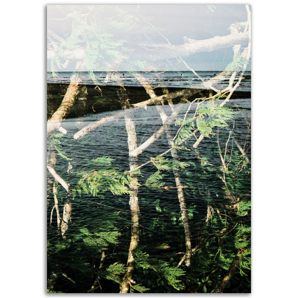 Cleanse | Museum-Quality Matte Paper