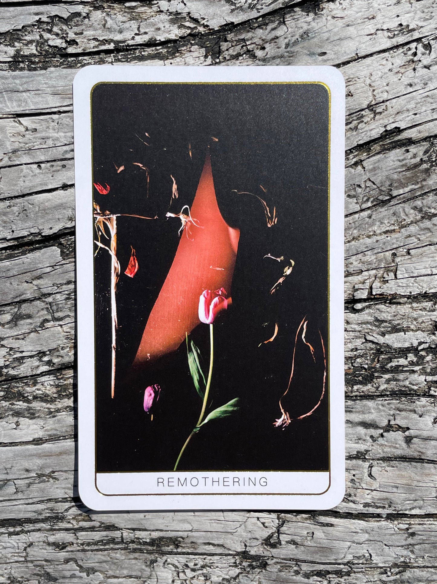 Death Doula Oracle Cards Healing magic remothering magick metaphysical meaning astrology