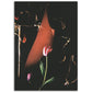 Remothering | Museum-Quality Matte Paper